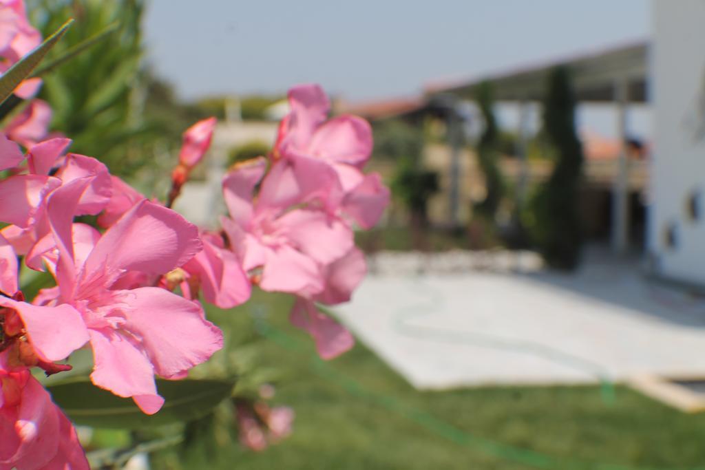 Lapis Port Surf Hotel Alaçatı Camera foto